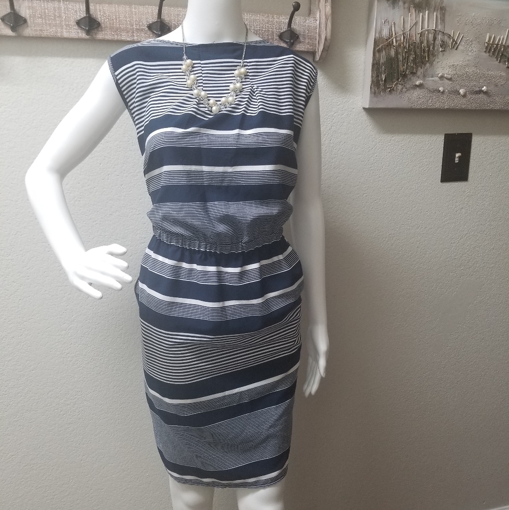 Navy Blue and White Dress